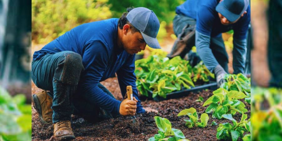  Gardening